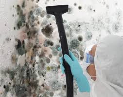 Best Residential Mold Inspection & Testing in North Bellmore, NY